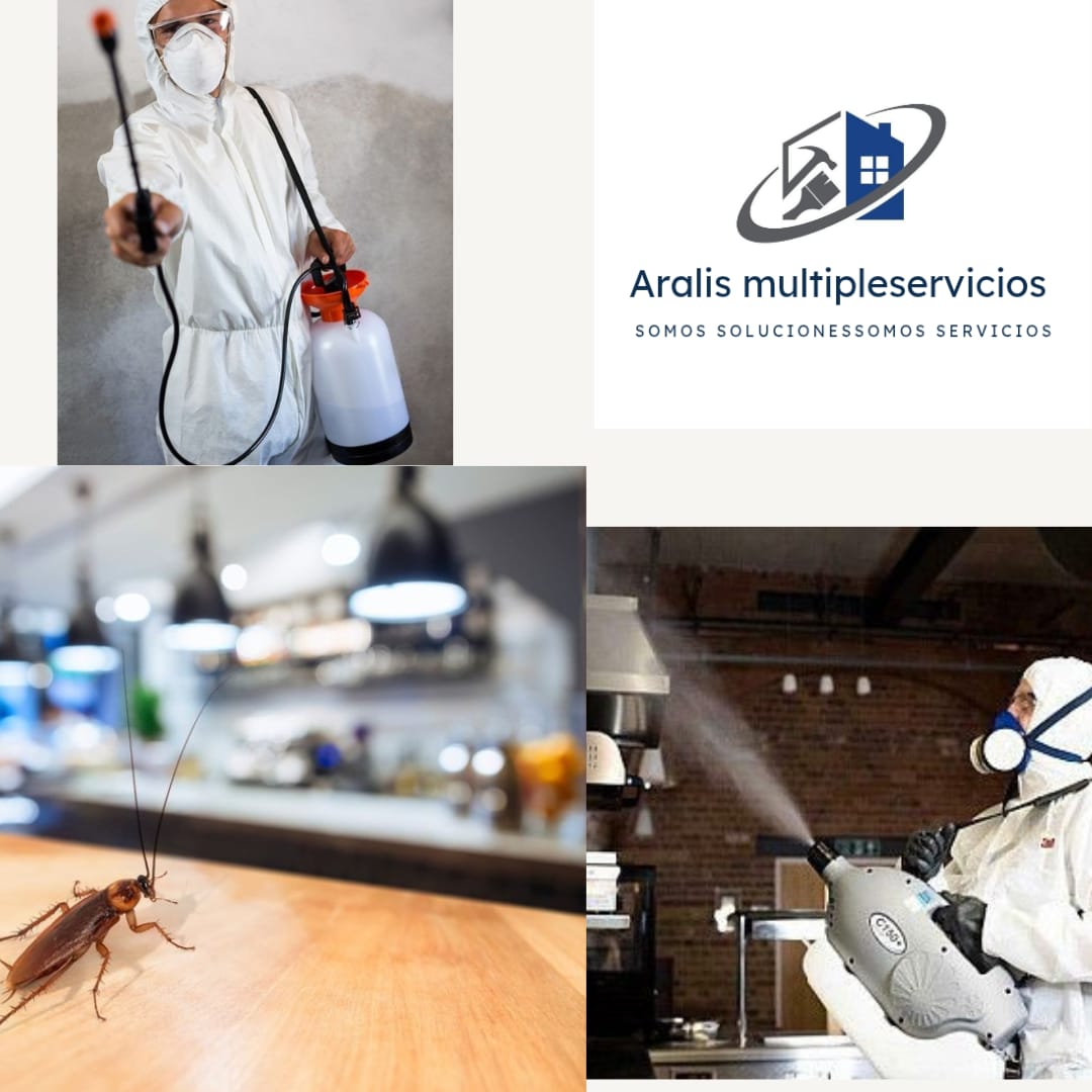 Servicios de Fumigación